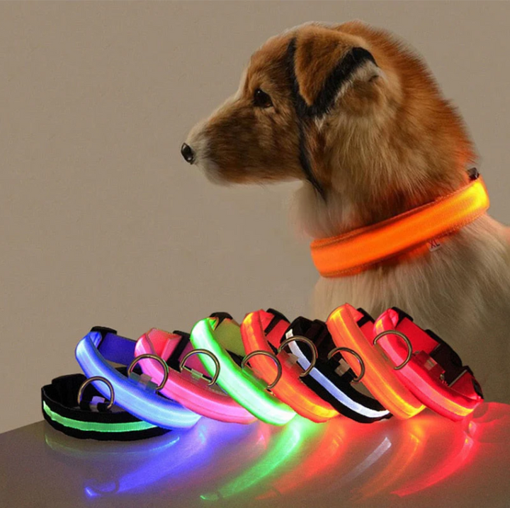 "Stilvolles LED Hundehalsband in bunt leuchtenden Farben, wetterfest, einstellbar, für kleine bis große Hunde geeignet."