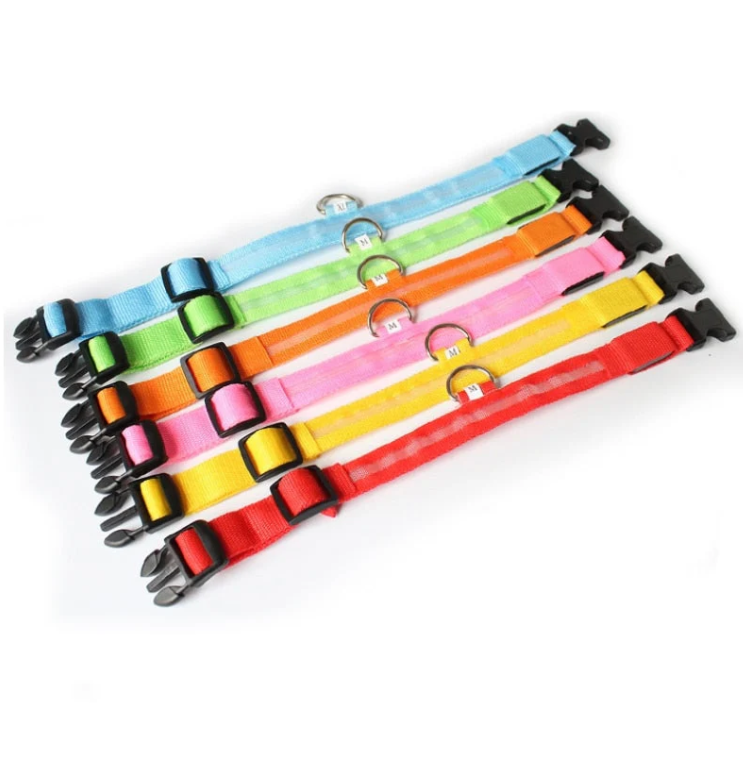 "Stilvolles LED Hundehalsband in bunt leuchtenden Farben, wetterfest, einstellbar, für kleine bis große Hunde geeignet."