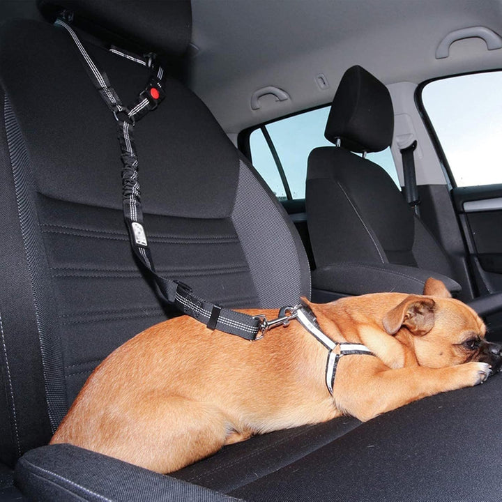 "Verstellbarer Hunde Auto Sicherheitsgurt für sichere Autofahrten, robust, bequem mit 360-Grad Drehkarabiner."