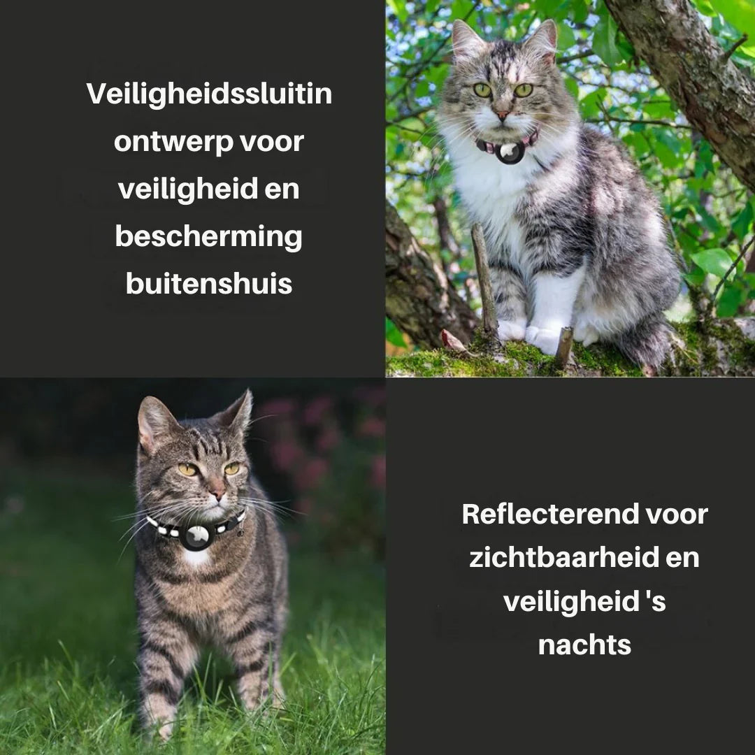 "Verstellbares Katzenhalsband mit Sicherheitsclip, verschiedene Farben, hautfreundlich, stilvolles Design, komfortabel"