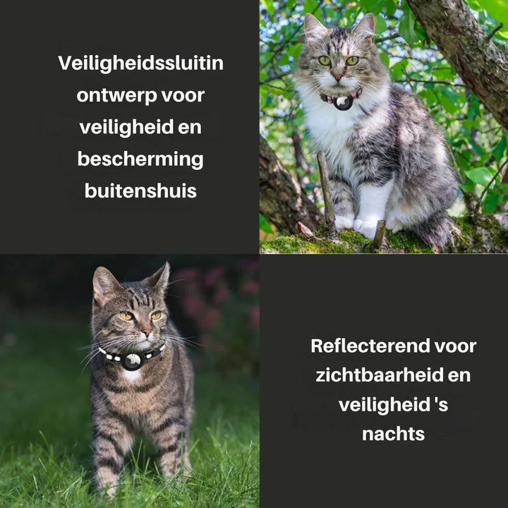 "Verstellbares Katzenhalsband mit Sicherheitsclip, verschiedene Farben, hautfreundlich, stilvolles Design, komfortabel"