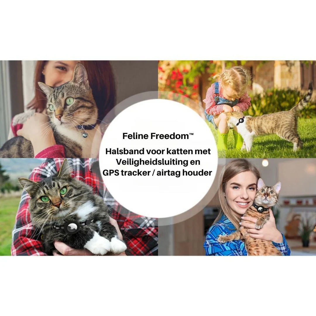 "Verstellbares Katzenhalsband mit Sicherheitsclip, verschiedene Farben, hautfreundlich, stilvolles Design, komfortabel"