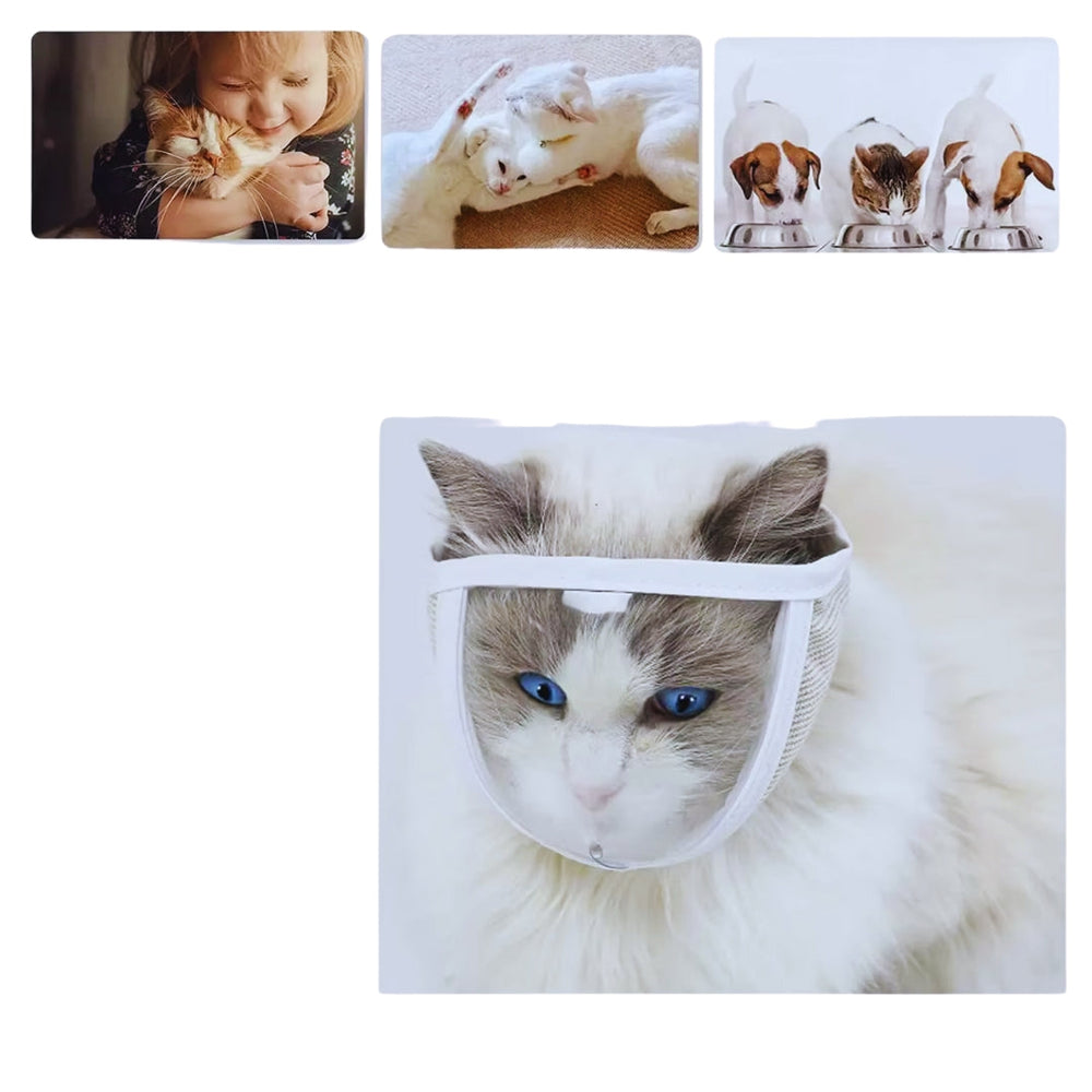 "Weiche Katzen Schutzmaske, atmungsaktiv und verstellbar, für Schutz und Komfort nach Operationen."