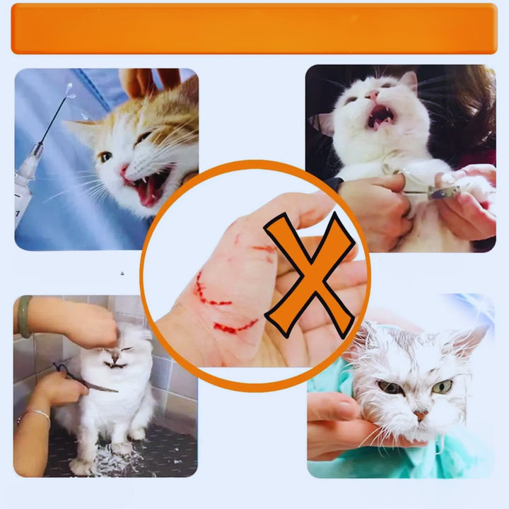 "Weiche Katzen Schutzmaske, atmungsaktiv und verstellbar, für Schutz und Komfort nach Operationen."