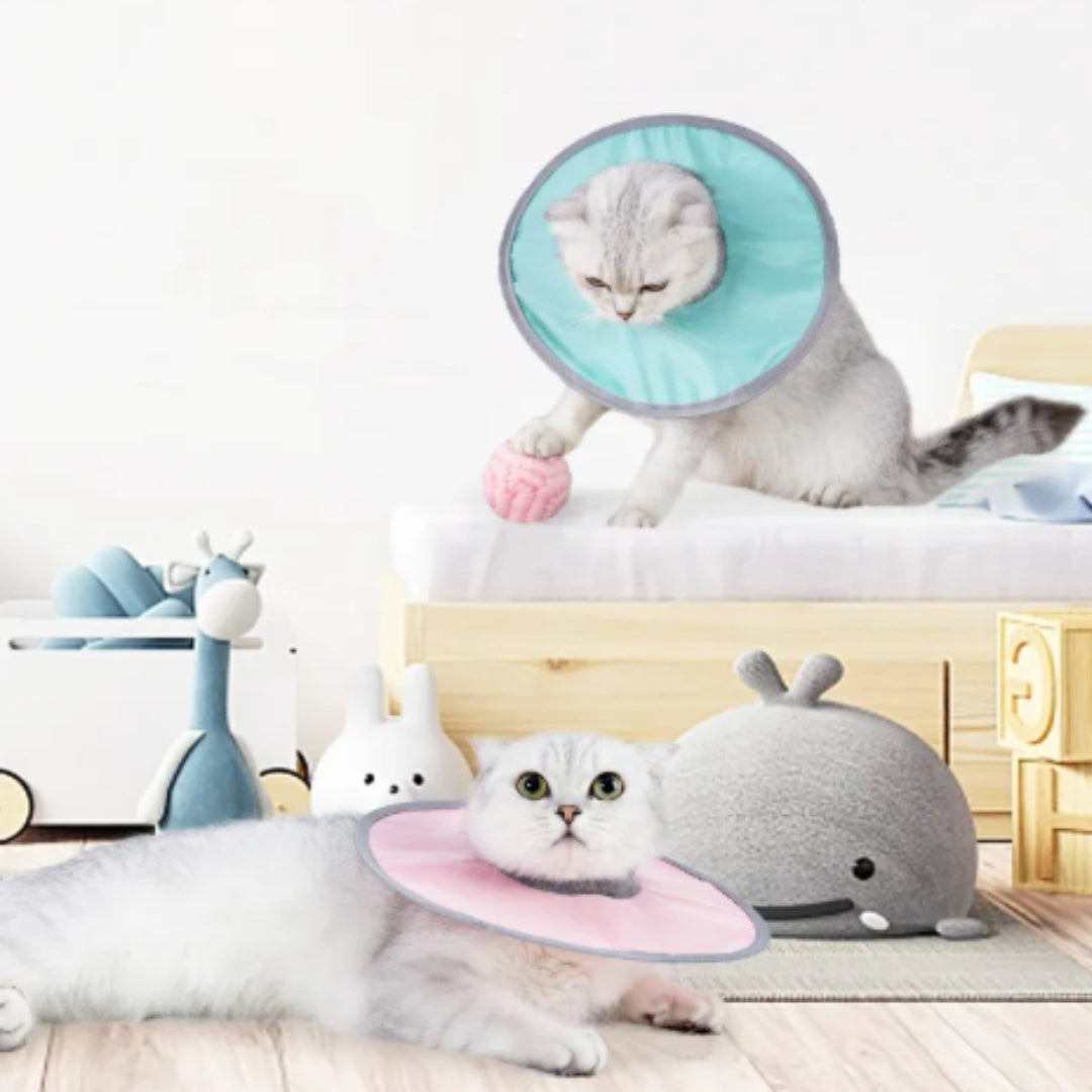 "Weicher flexibler Schutzkragen für Katzen und Hunde, individuell verstellbar, in Blau, Grün oder Rosa erhältlich."