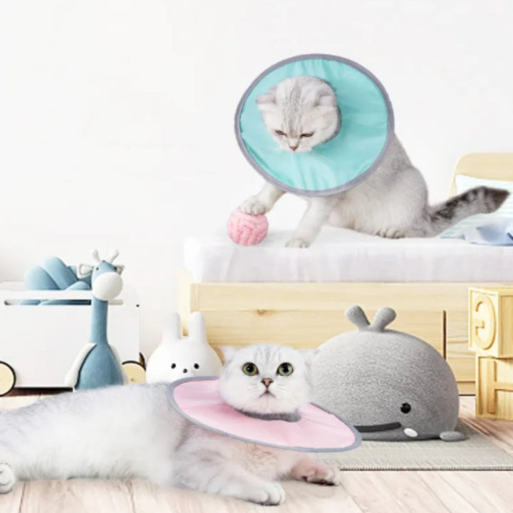"Weicher flexibler Schutzkragen für Katzen und Hunde, individuell verstellbar, in Blau, Grün oder Rosa erhältlich."
