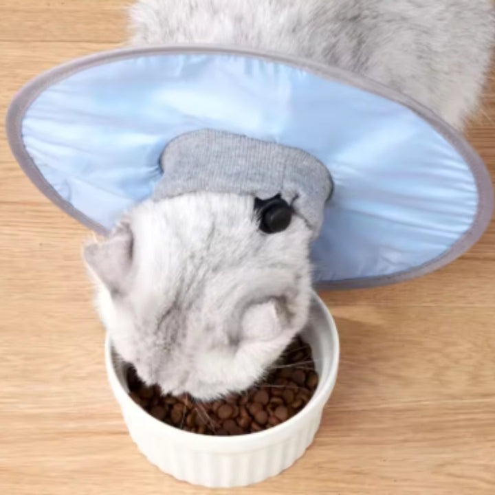 "Weicher flexibler Schutzkragen für Katzen und Hunde, individuell verstellbar, in Blau, Grün oder Rosa erhältlich."