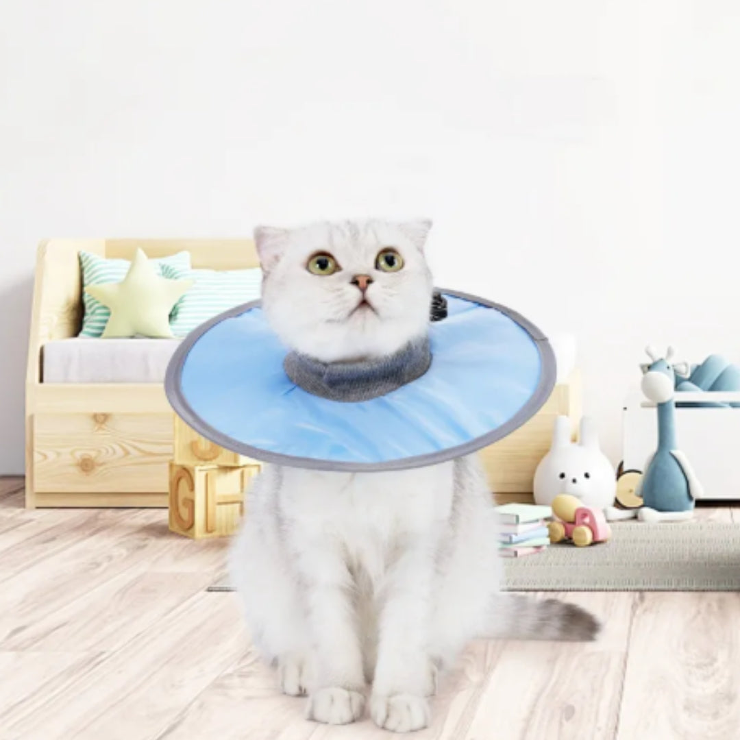 "Weicher flexibler Schutzkragen für Katzen und Hunde, individuell verstellbar, in Blau, Grün oder Rosa erhältlich."