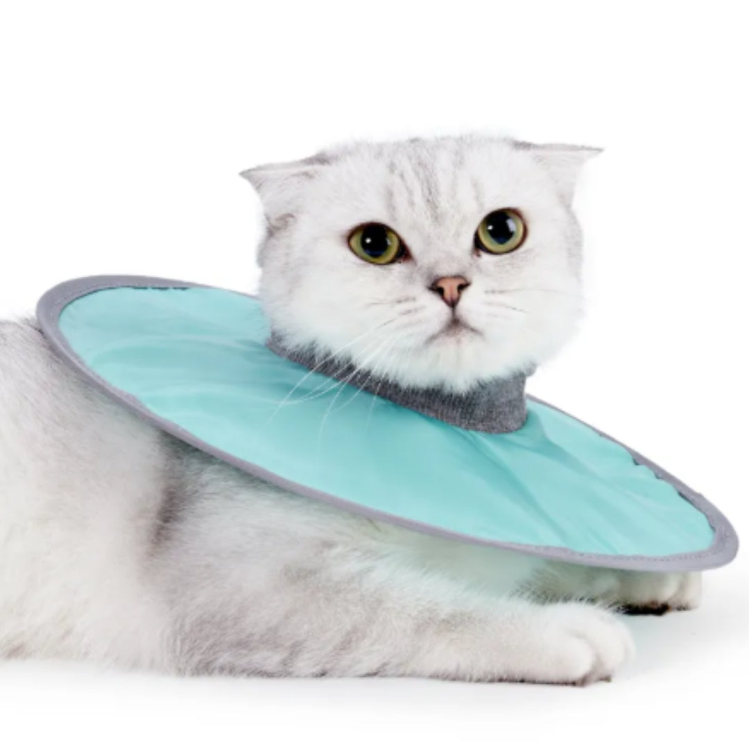"Weicher flexibler Schutzkragen für Katzen und Hunde, individuell verstellbar, in Blau, Grün oder Rosa erhältlich."