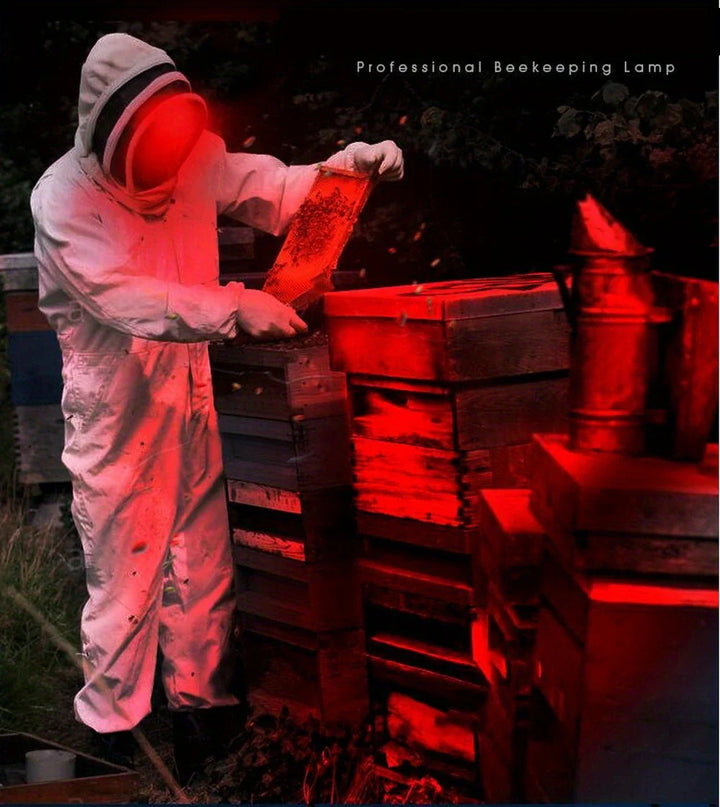 "Wiederaufladbare LED Stirnlampe mit Weiß-, Rot- und Grünlichtmodi, USB-Anschluss und ergonomischem Design für Komfort."